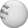 imageWILSON AVP Soft Play Volleyball  Official SizeWhite