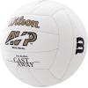 imageWILSON Cast Away Volleyballs  Mini and Official SizeMini