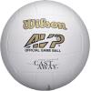 imageWILSON Cast Away Volleyballs  Mini and Official SizeOfficial Size