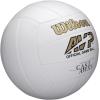 imageWILSON Cast Away Volleyballs  Mini and Official SizeOfficial Size