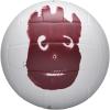 imageWILSON Cast Away Volleyballs  Mini and Official SizeOfficial Size
