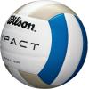 imageWILSON Indoor Recreational Volleyballs  Official SizeBlueSilverWhite