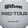 imageWILSON Indoor Recreational Volleyballs  Official SizeWhite