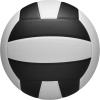 imageWILSON Nova Indoor Game Volleyballs  Official SizeBlackWhite