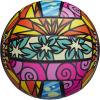 imageWilson Outdoor Recreational Volleyball  Official SizeBlueYellowOrangePink