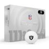 Las Vegas Raiders
