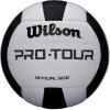 imageWILSON Indoor Recreational Volleyballs  Official SizeBlackWhite
