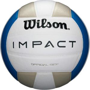 imageWILSON Indoor Recreational Volleyballs  Official SizeBlueSilverWhite