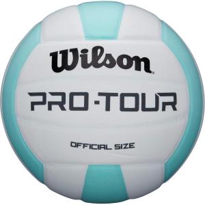 imageWILSON Indoor Recreational Volleyballs  Official SizeTealWhite