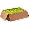 imageWILSON Tru 32 Pickleball BallsYellow