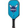 imageWILSON NBA Collection Fierce Team Pickleball Paddles  Grip Size 24 14quotCharlotte Hornets