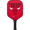 Chicago Bulls