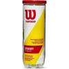imageWILSON Championship Tennis BallsExtra Duty