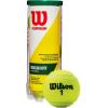 imageWILSON Championship Tennis BallsRegular Duty