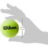 imageWILSON Sporting Goods WILSON Pressureless Tennis Balls  18 Ball Bag original version WRT1323