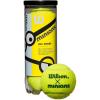 imageWilson Minions Youth Tennis Balls  Stage 1 2 and 3standard