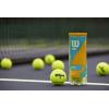 imageWilson Prime All Court Tennis BallYellow