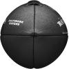 imageWILSON NFL Team Metallic Premiere Footballs  Official SizeBaltimore Ravens