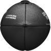 imageWILSON NFL Team Metallic Premiere Footballs  Official SizeCarolina Panthers