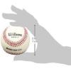 imageWilson A1010 HS1White