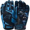 Carolina Panthers