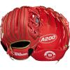 Red/Metallic Gold