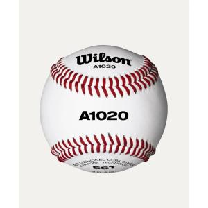 imageWILSON A1020 Champion Series SST Baseballs  1 Dozen