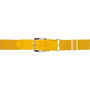 imageWILSON Standard 15quotLight Gold