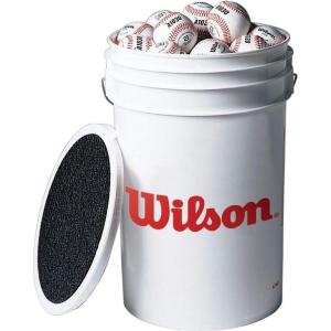 imageWilson A1030 Champion Series Baseballs Bucket 3 Dozen