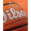 imageWILSON Caitlin Clark EVO NXT 3951 Game BasketballsSize 6  285