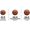 imageWILSON Caitlin Clark EVO NXT 3951 Game BasketballsSize 7  295
