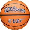imageWILSON Caitlin Clark Embrace EVO NXT BasketballsSize 6  285