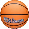 imageWILSON Caitlin Clark Embrace EVO NXT BasketballsSize 7  295