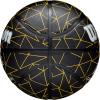 imageWILSON Caitlin Clark Repetition BasketballsSize 6  285
