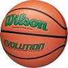 imageWILSON Evolution Indoor Game Basketballs  Size 5 Size 6 and Size 7GreenBrown