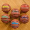 imageWILSON Evolution Indoor Game Basketballs  Size 5 Size 6 and Size 7RoyalBrown