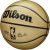 imageWILSON NBA Alliance Series Basketballs  Size 7 and Mini SizeGold