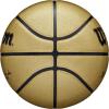 imageWILSON NBA Alliance Series Basketballs  Size 7 and Mini SizeGold