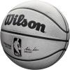 imageWILSON NBA Alliance Series Basketballs  Size 7 and Mini SizePlatinum