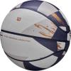 imageWILSON NBA Champagne Series Basketballs  Size 7295quotWhiteBlueGold