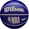 imageWILSON NBA DRV Outdoor Basketballs  Size 3 Size 5 Size 6 and Size 7IndigoBeige