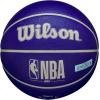 imageWILSON NBA DRV Outdoor Basketballs  Size 3 Size 5 Size 6 and Size 7IndigoBeige