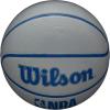 imageWILSON NBA DRV Series BasketballGrey