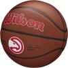 imageWILSON NBA Team Alliance Basketballs  Size 7295quotCharlotte Hornets