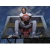imageWILSON NBA Team Alliance Basketballs  Size 7295quotChicago Bulls
