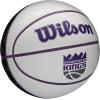 imageWILSON NBA Team Autograph Mini Basketballs  Size 322quotSacramento Kings