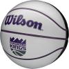 imageWILSON NBA Team Autograph Mini Basketballs  Size 322quotSacramento Kings