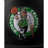 imageWILSON NBA Team Premiere Basketballs  Size 7295quotBoston Celtics