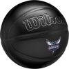 imageWILSON NBA Team Premiere Basketballs  Size 7295quotCharlotte Hornets