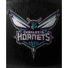 imageWILSON NBA Team Premiere Basketballs  Size 7295quotCharlotte Hornets